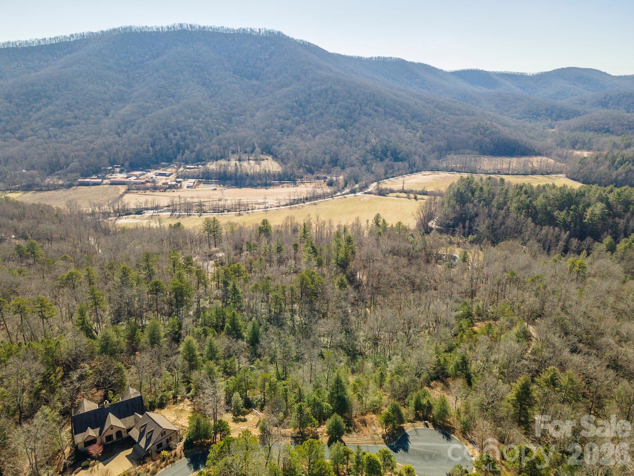 99999 Woodhen Way Horse Shoe NC 28742