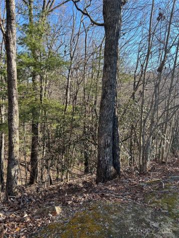 210 Thistlewynd Trail Hendersonville NC 28739
