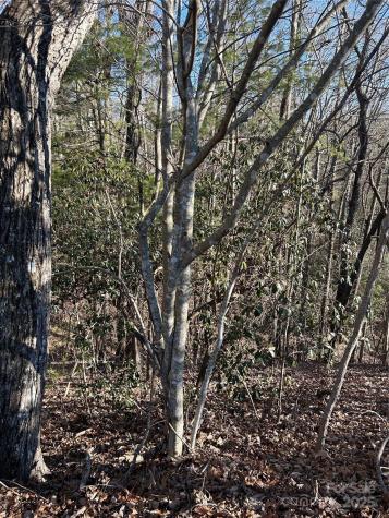 210 Thistlewynd Trail Hendersonville NC 28739