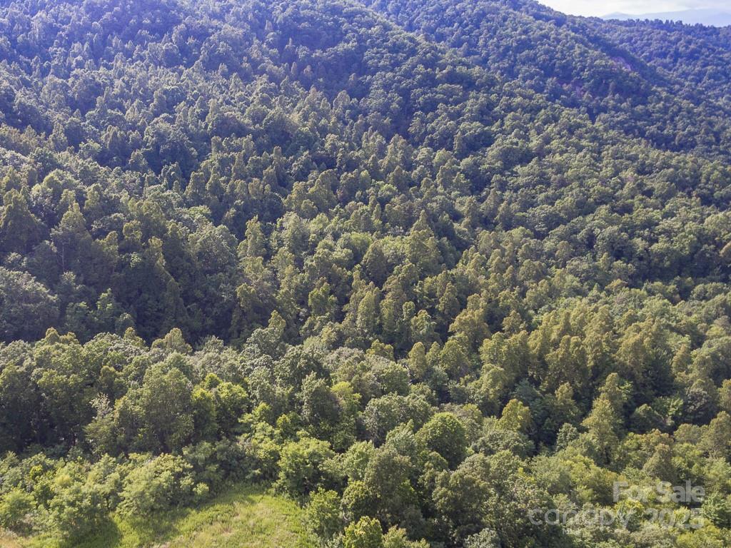 0 Grey Rock Parkway Lake Lure NC 28746