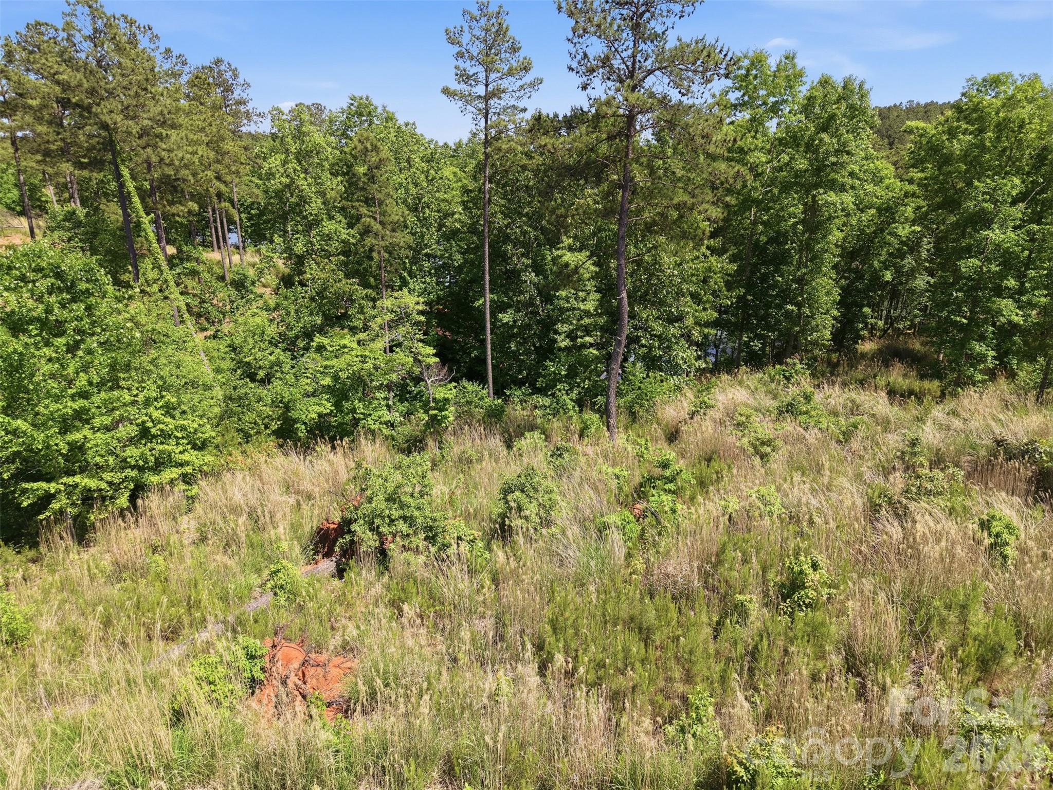 2326 Princeton Mountain Connelly Springs NC 28612