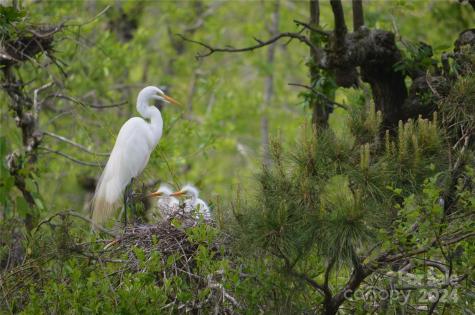 229 Joseph Kershaw Road Eastover SC 29044