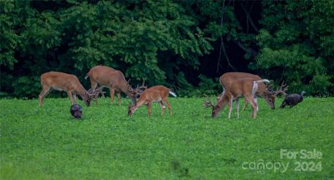 229 Joseph Kershaw Road Eastover SC 29044