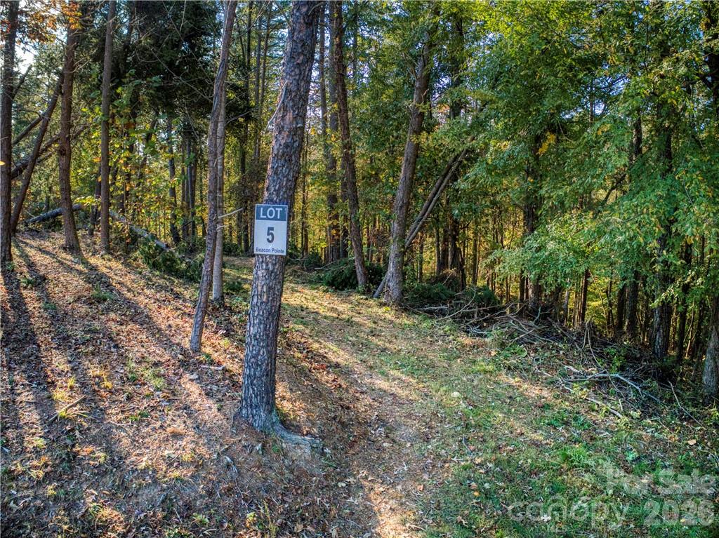 152 Fox Hunt Drive Mooresville NC 28117