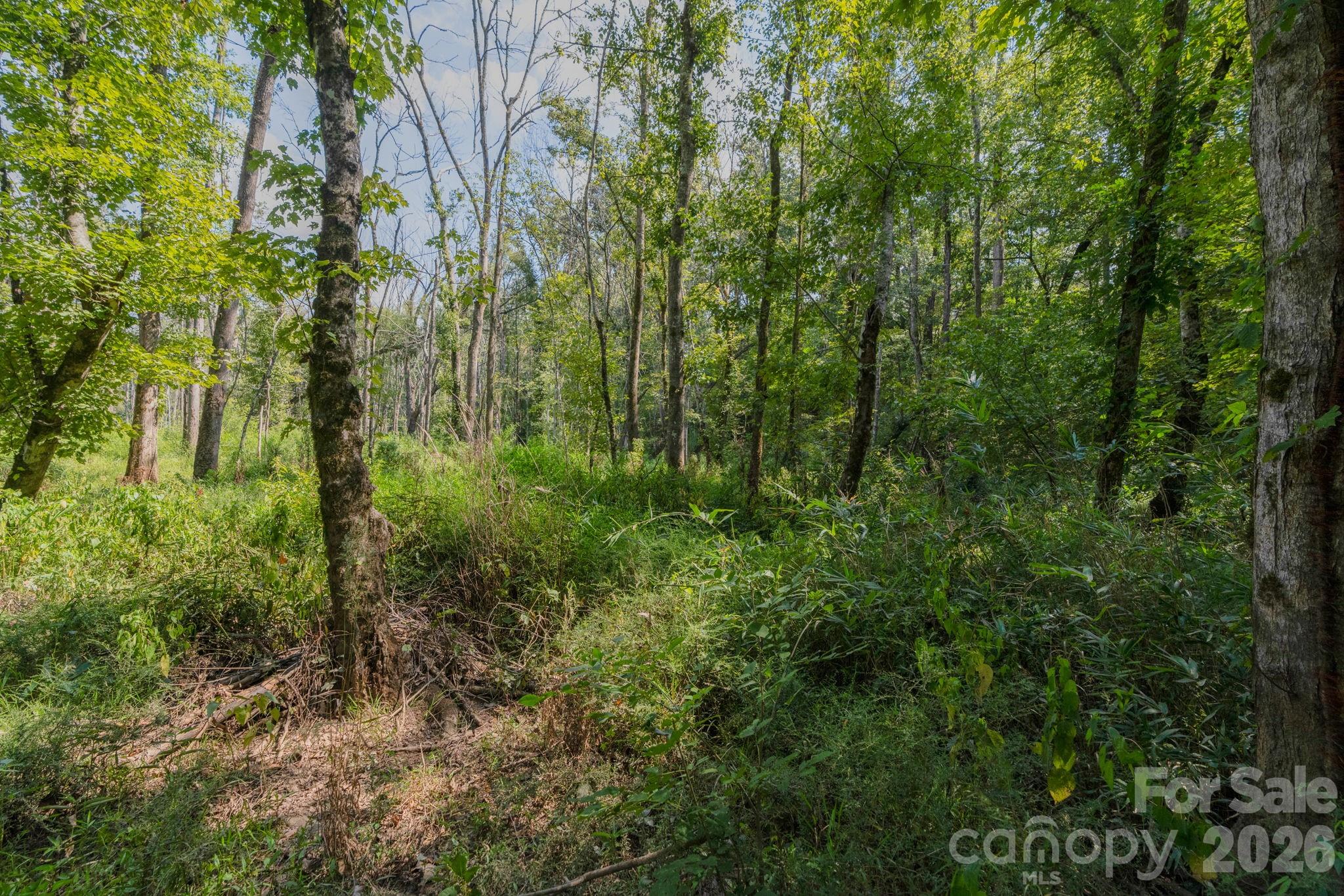 00 Stonehenge Court Waxhaw NC 28173