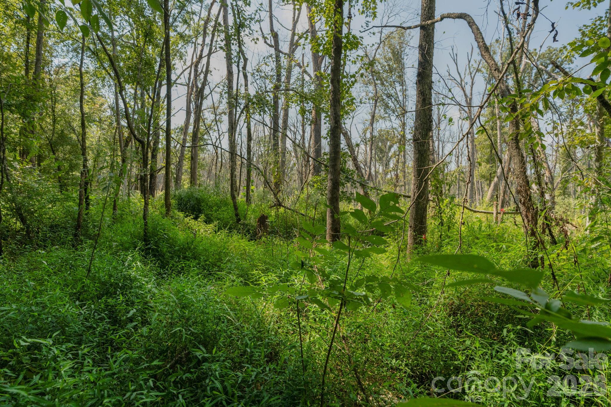 00 Stonehenge Court Waxhaw NC 28173