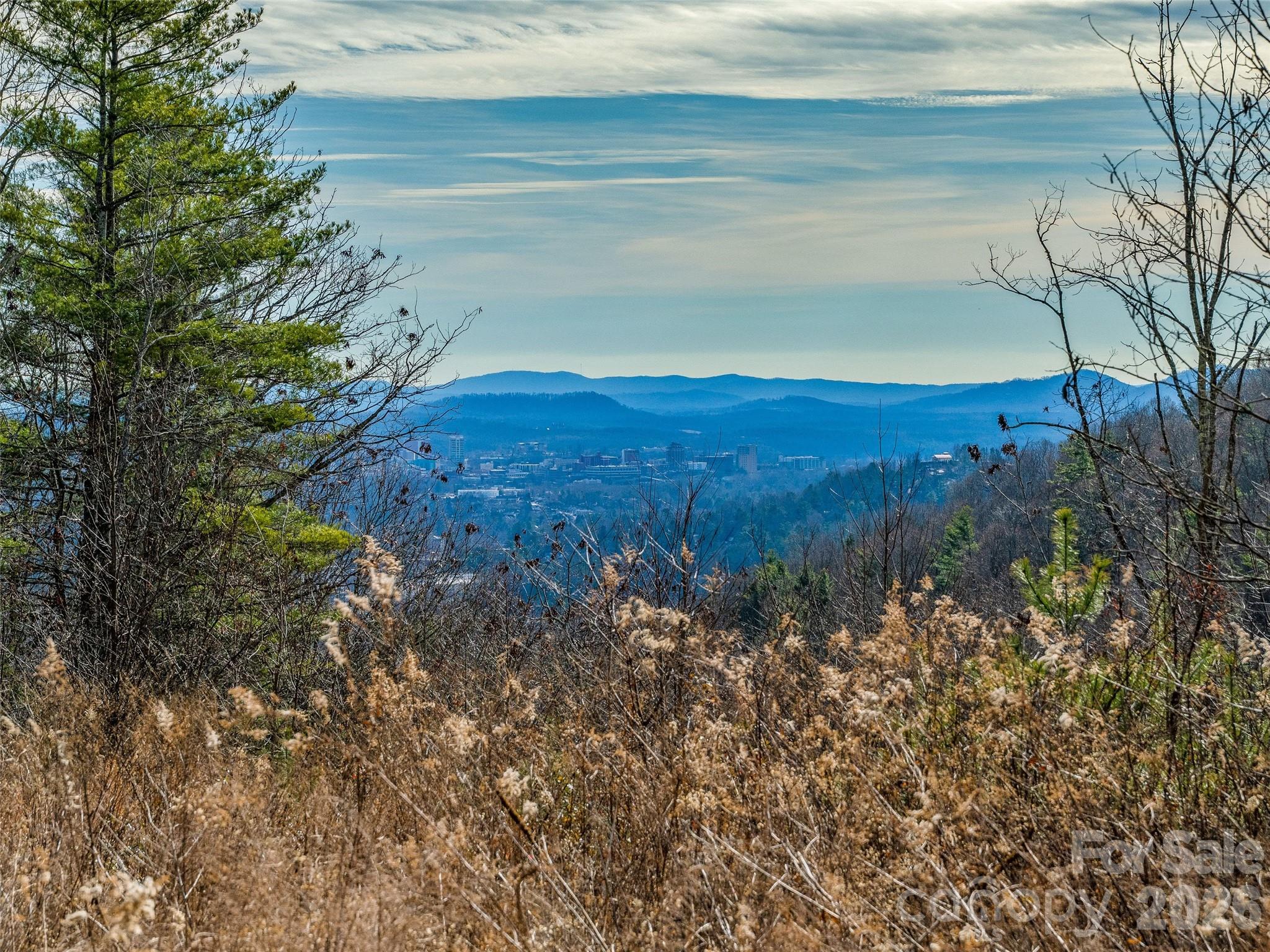 10 Villa Nova Drive Asheville NC 28804
