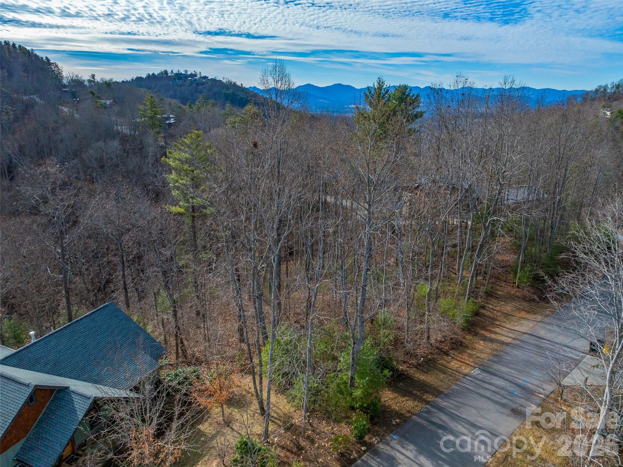 10 Villa Nova Drive Asheville NC 28804