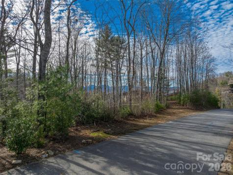 10 Villa Nova Drive Asheville NC 28804
