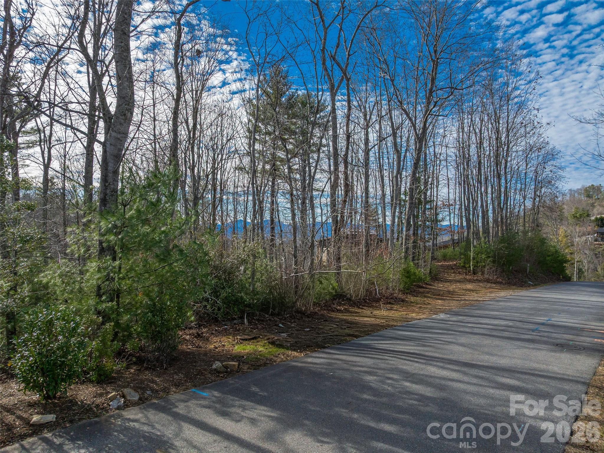 10 Villa Nova Drive Asheville NC 28804