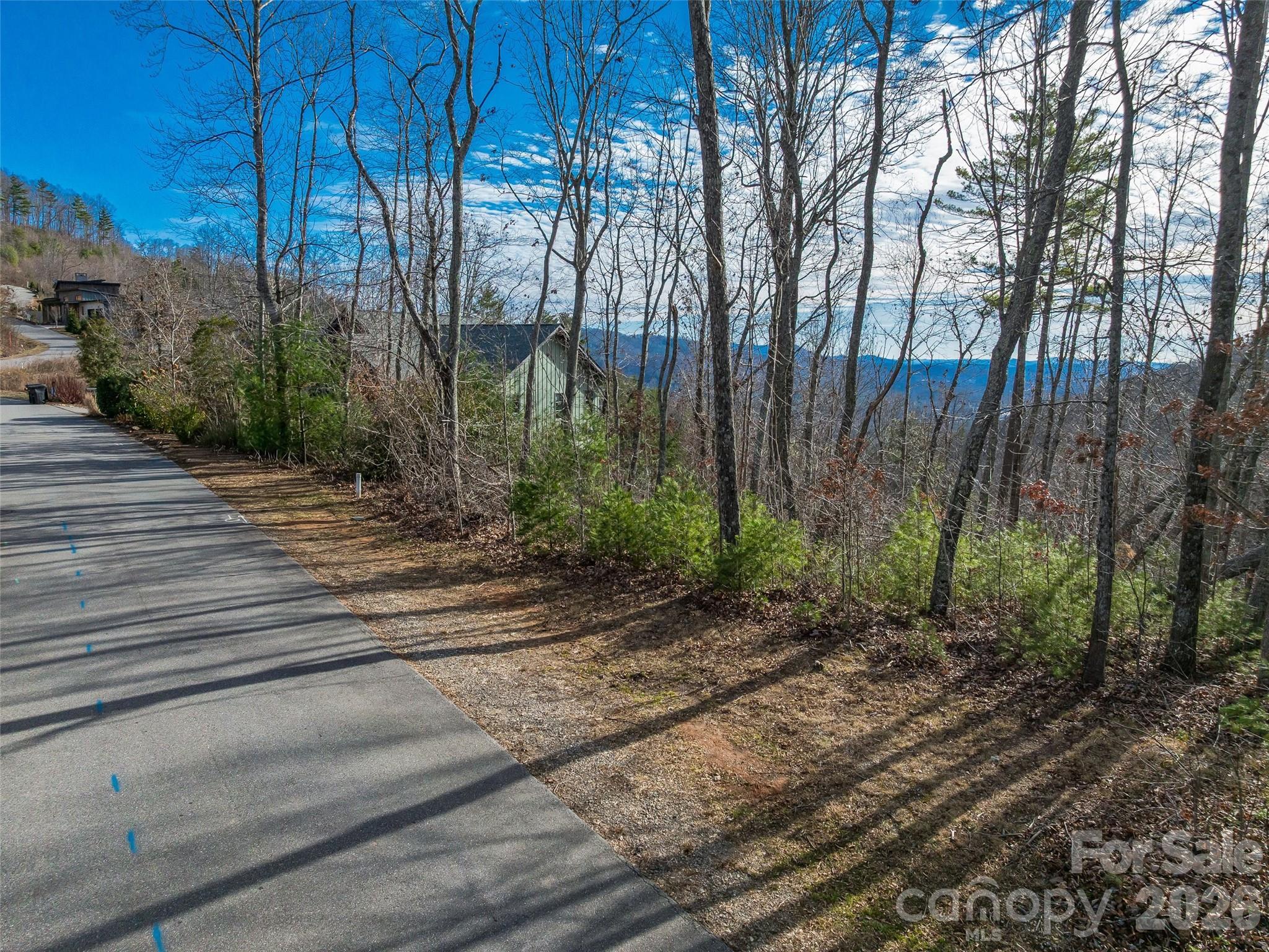 10 Villa Nova Drive Asheville NC 28804