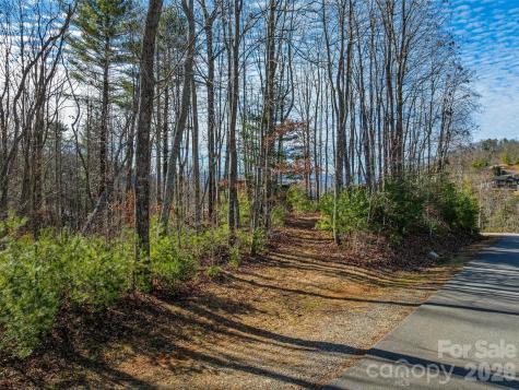10 Villa Nova Drive Asheville NC 28804