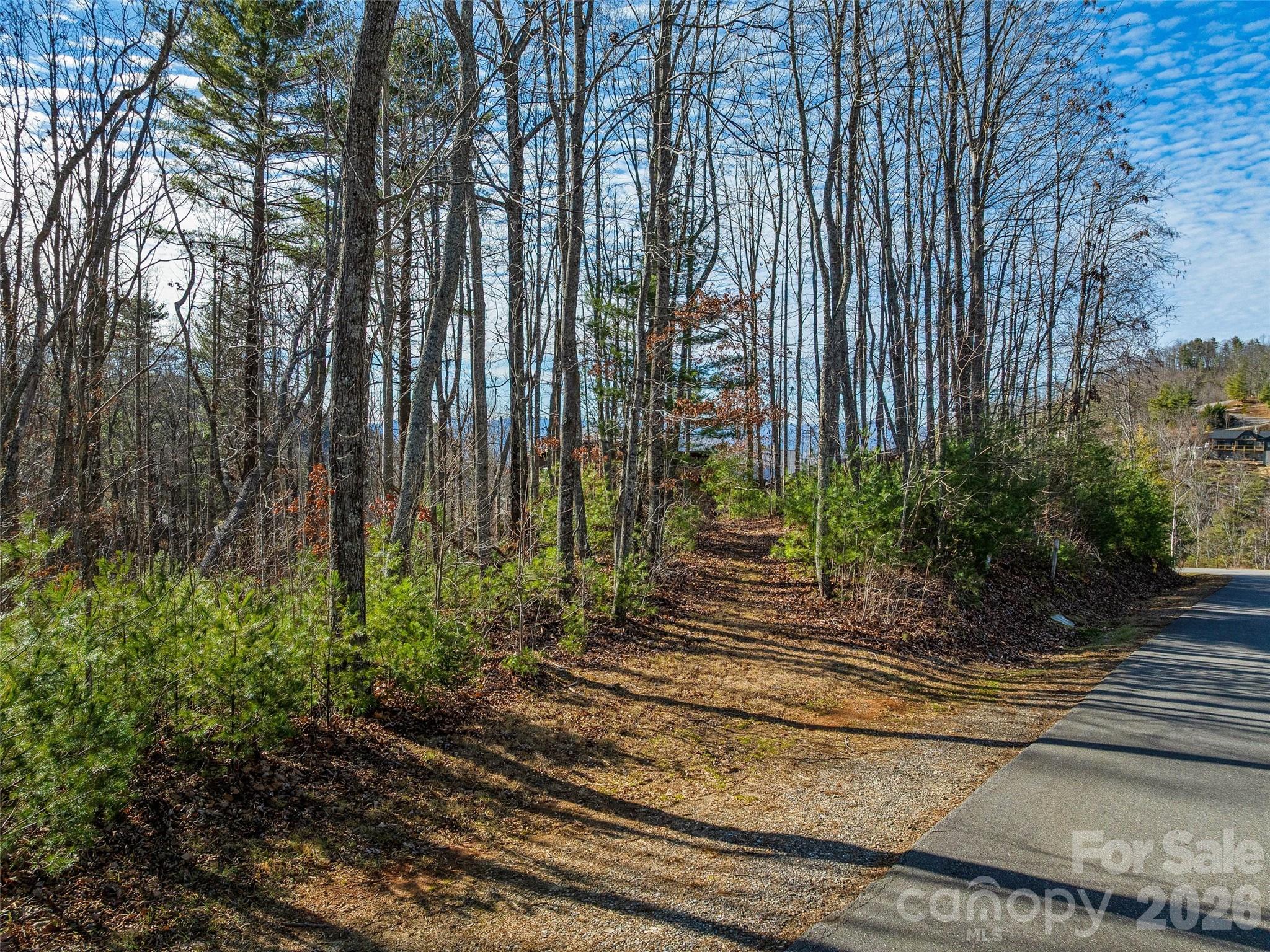10 Villa Nova Drive Asheville NC 28804