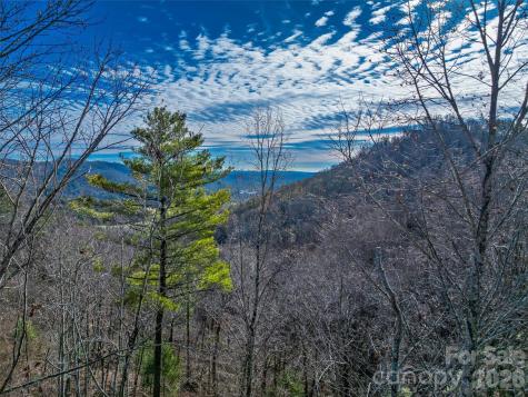 10 Villa Nova Drive Asheville NC 28804