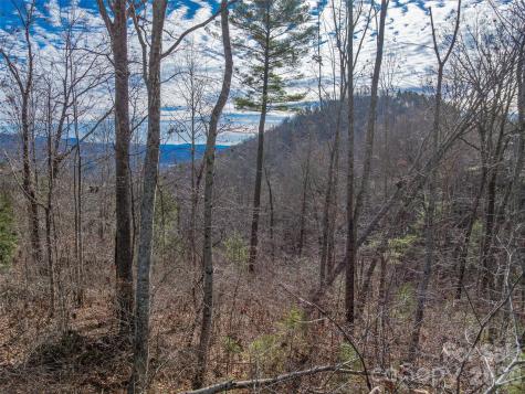 10 Villa Nova Drive Asheville NC 28804