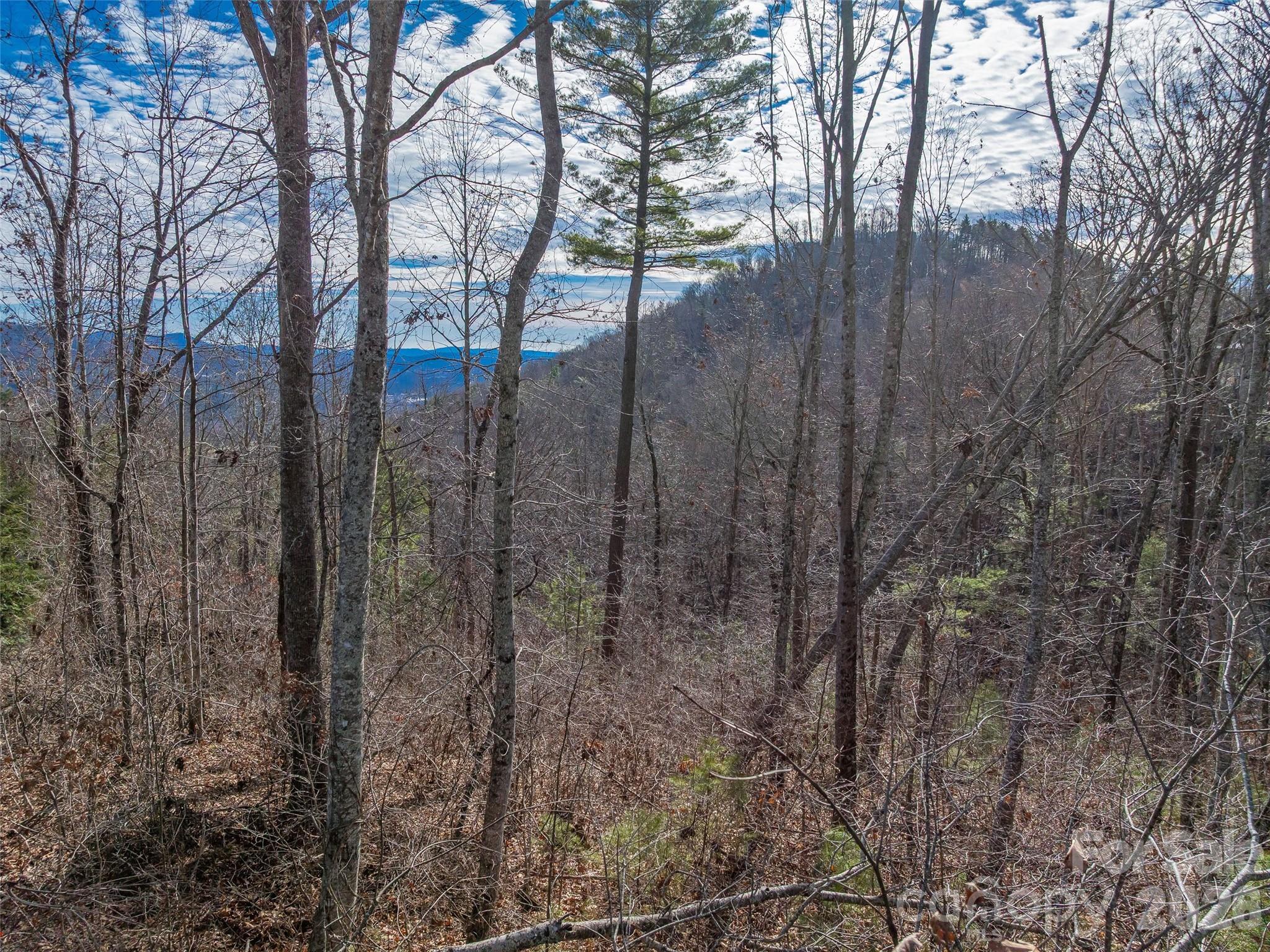 10 Villa Nova Drive Asheville NC 28804