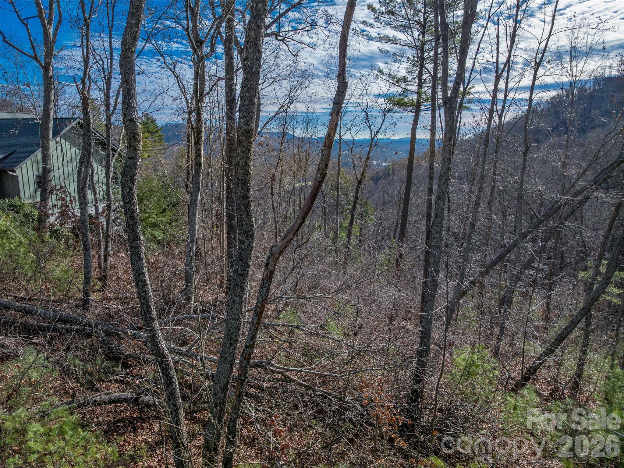 10 Villa Nova Drive Asheville NC 28804
