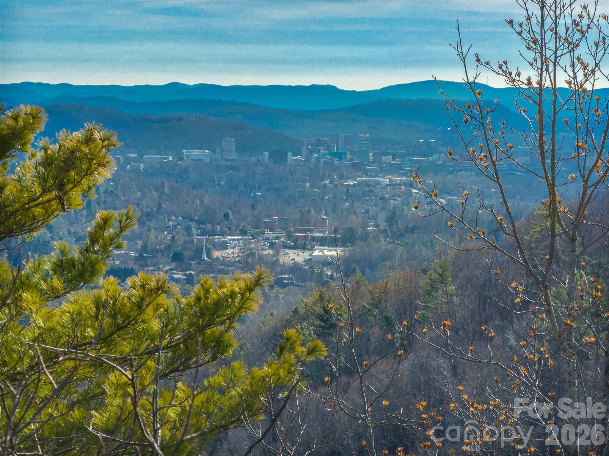 10 Villa Nova Drive Asheville NC 28804