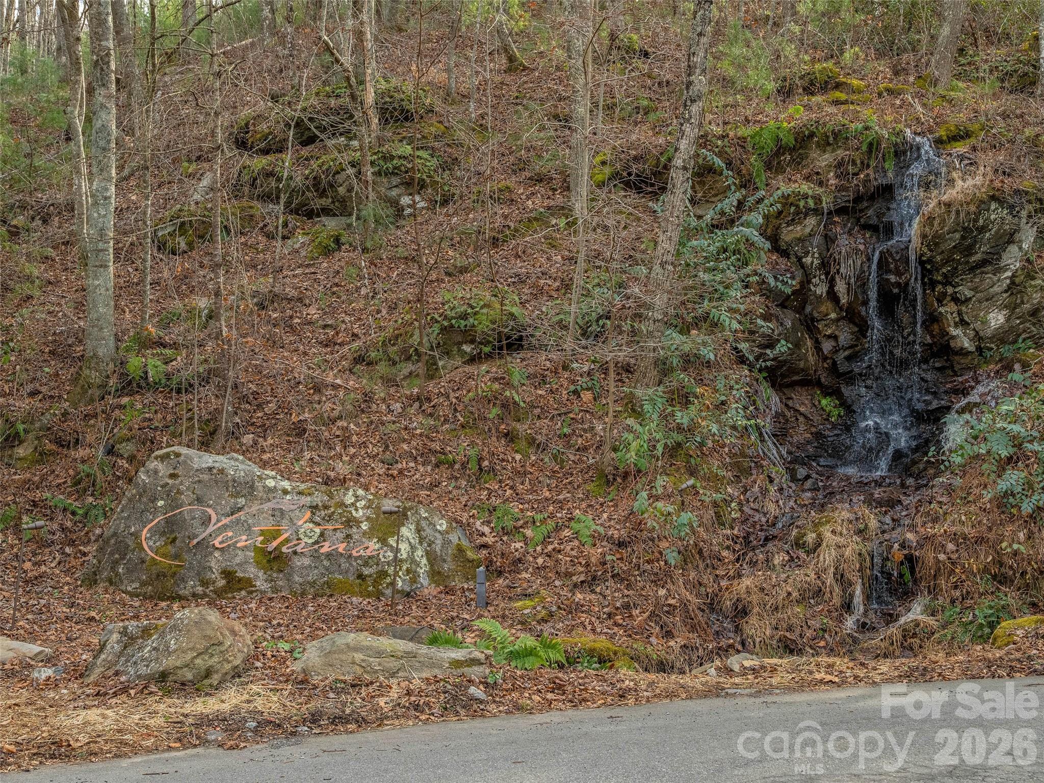 10 Villa Nova Drive Asheville NC 28804