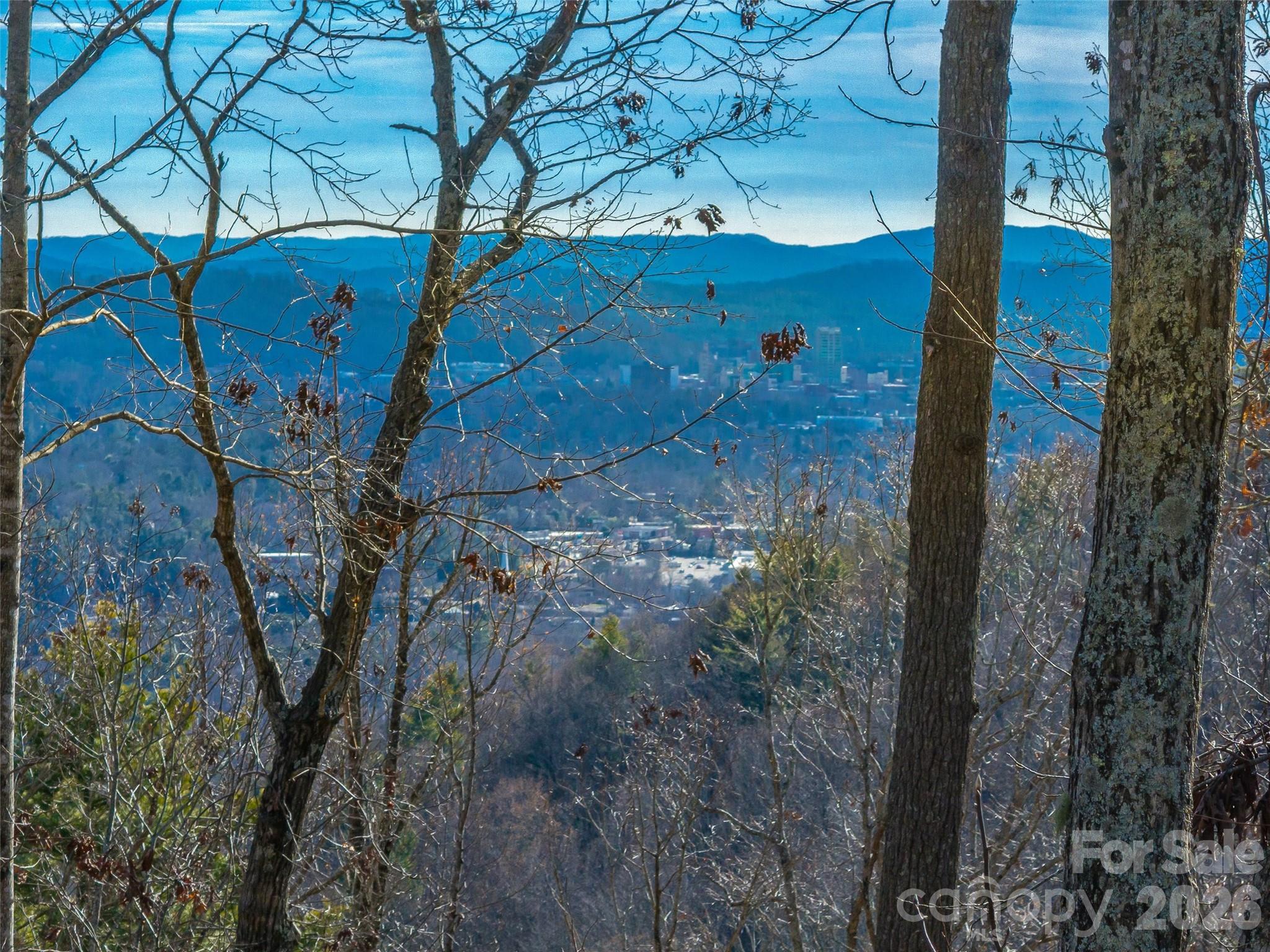 10 Villa Nova Drive Asheville NC 28804