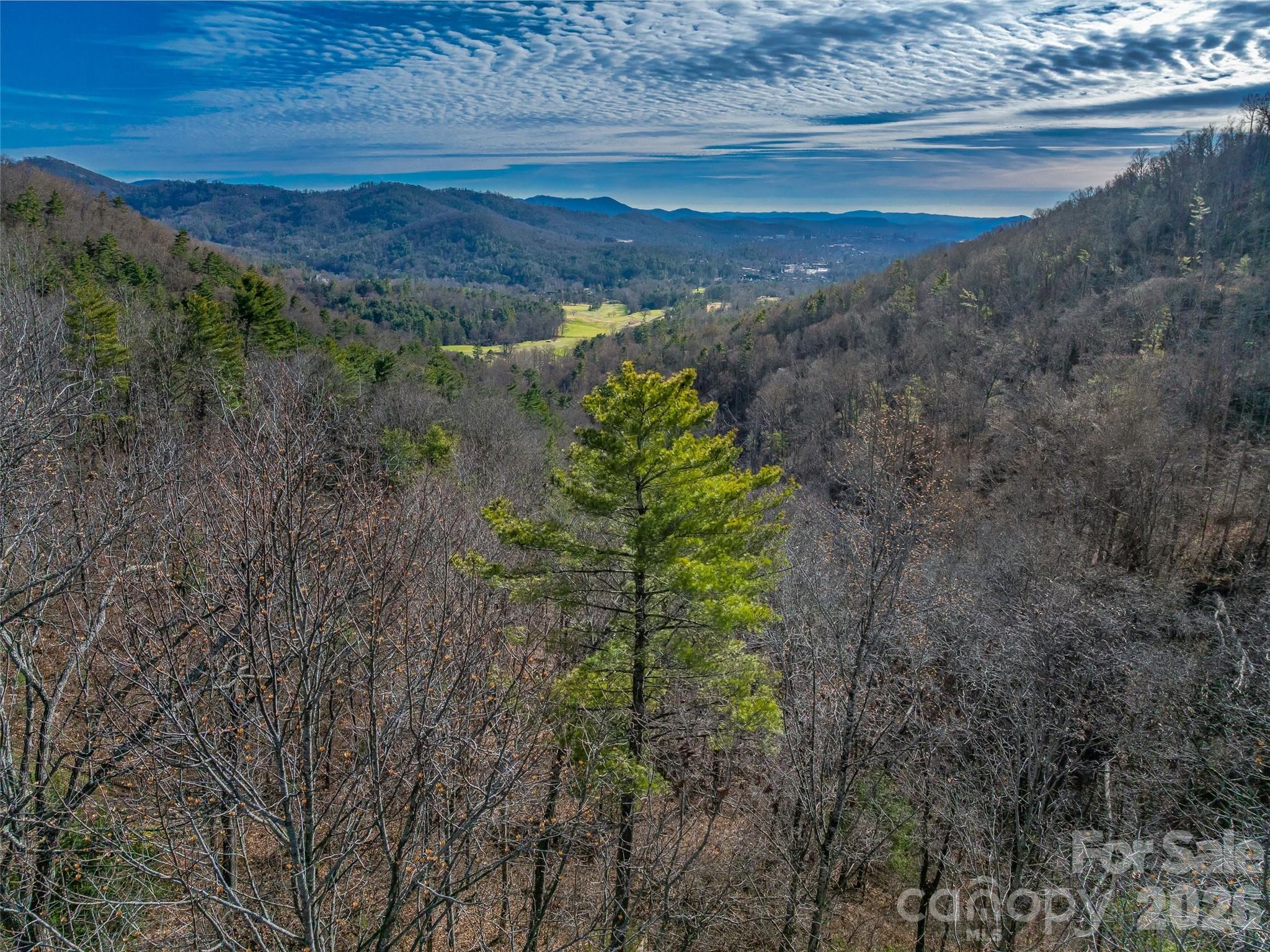 10 Villa Nova Drive Asheville NC 28804