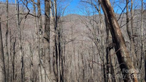 00 Shady Rest Drive Waynesville NC 28785