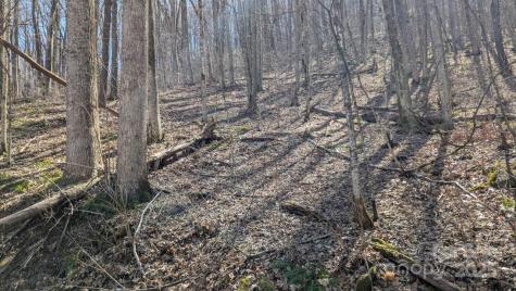 00 Shady Rest Drive Waynesville NC 28785