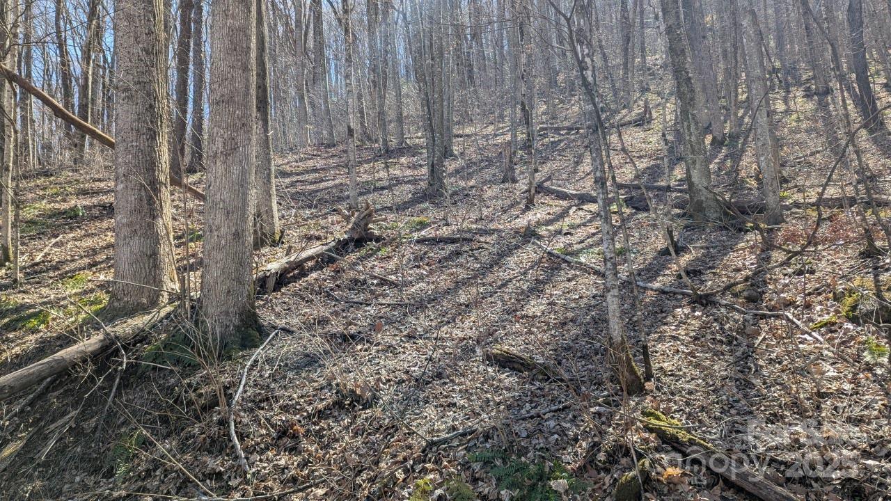 00 Shady Rest Drive Waynesville NC 28785