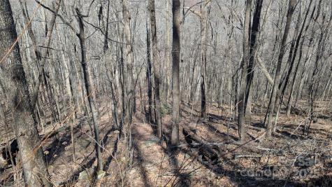 00 Shady Rest Drive Waynesville NC 28785