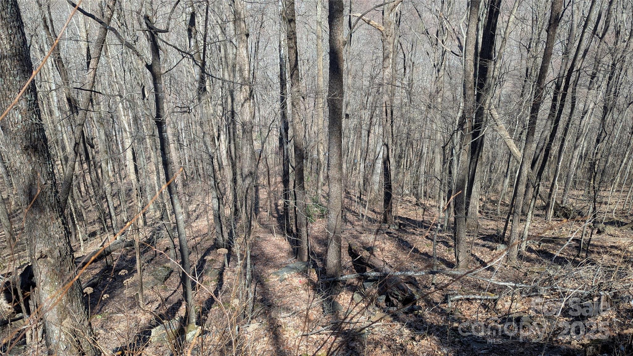 00 Shady Rest Drive Waynesville NC 28785