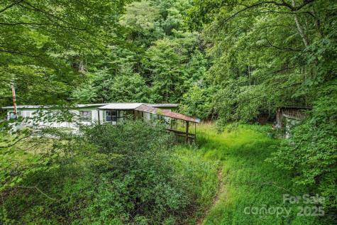 1616 Meadow Fork Road Hot Springs NC 28743