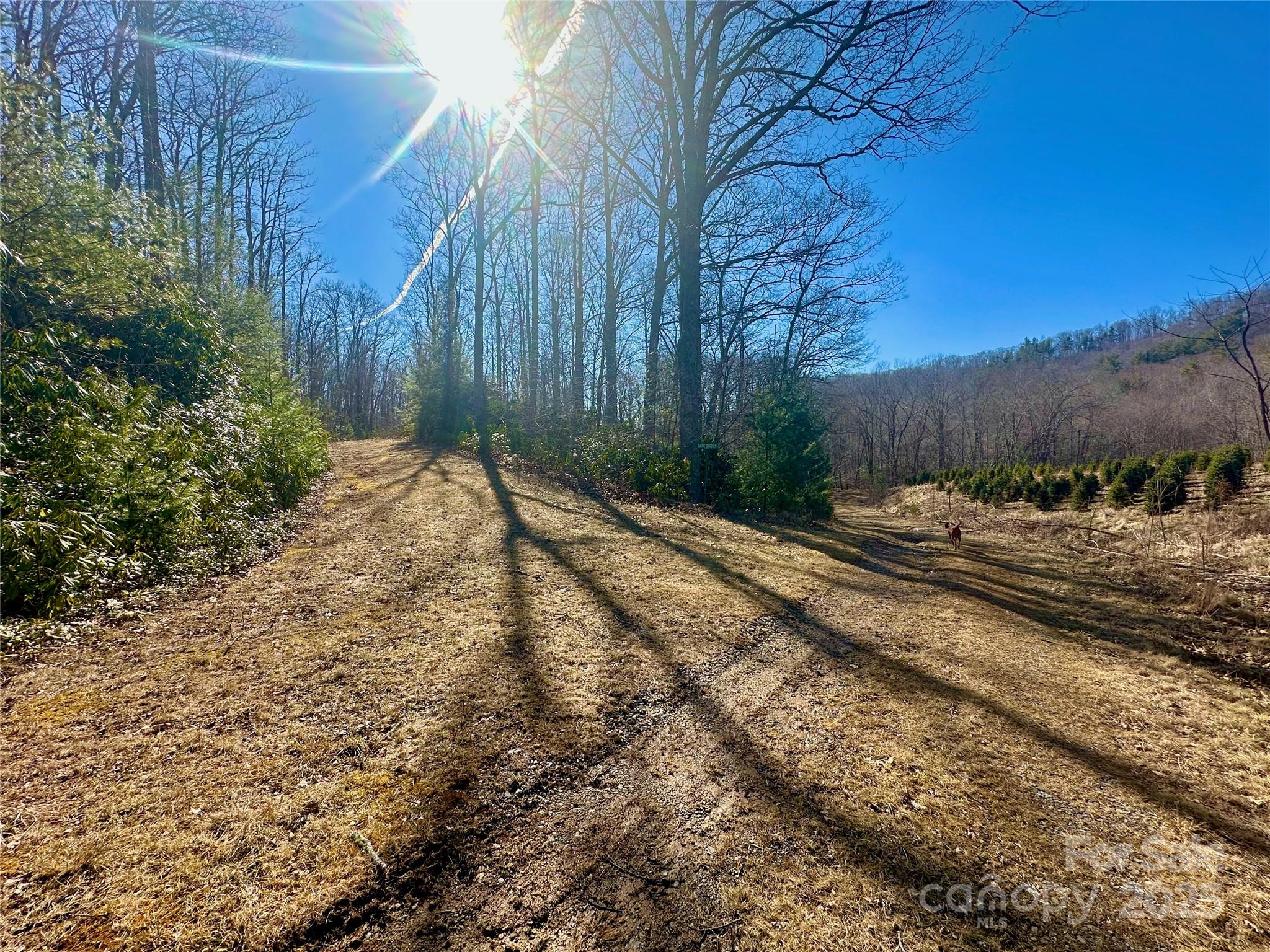 Tbd Snipe Hill Drive Newland NC 28657