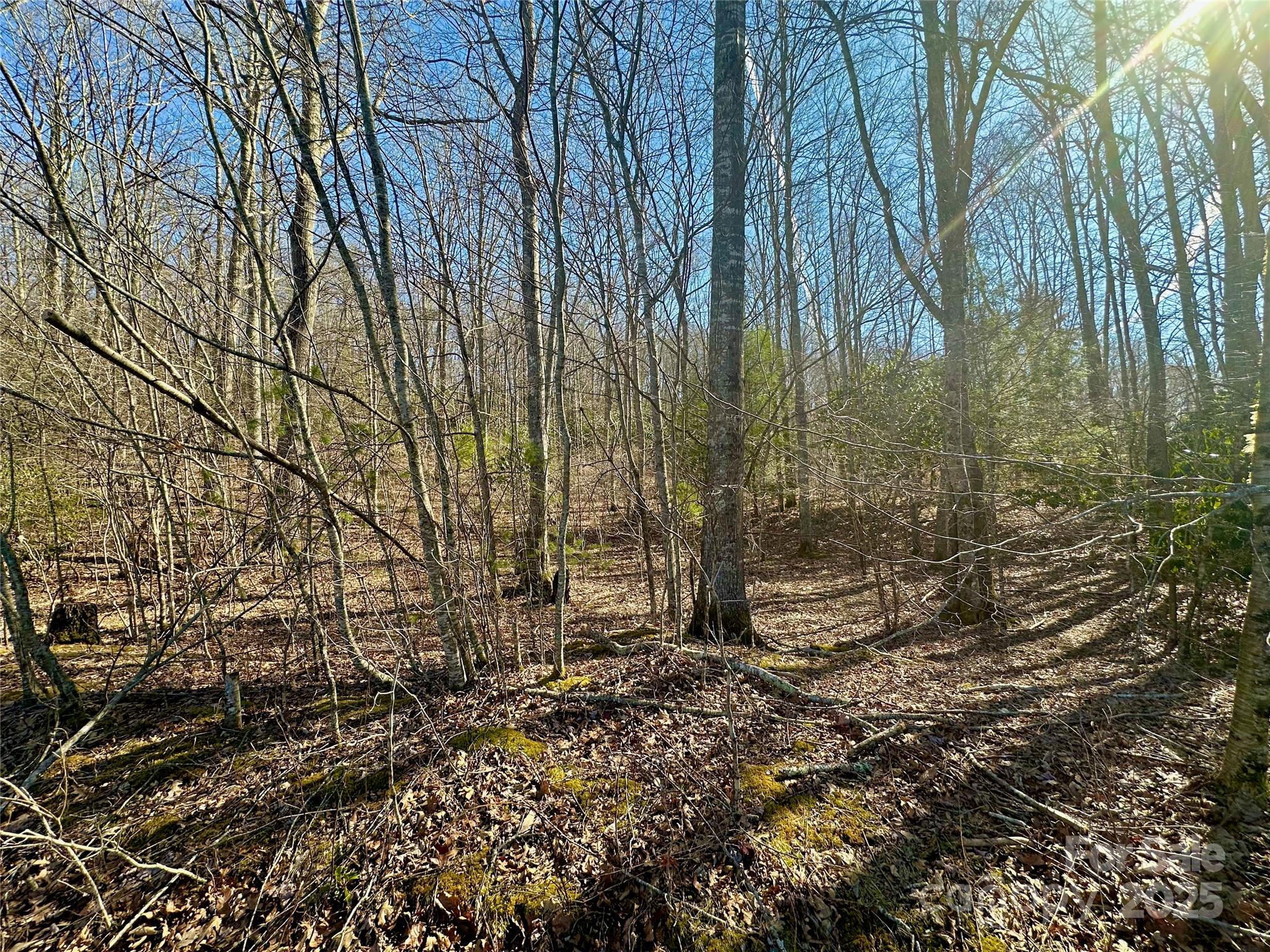 Tbd Snipe Hill Drive Newland NC 28657