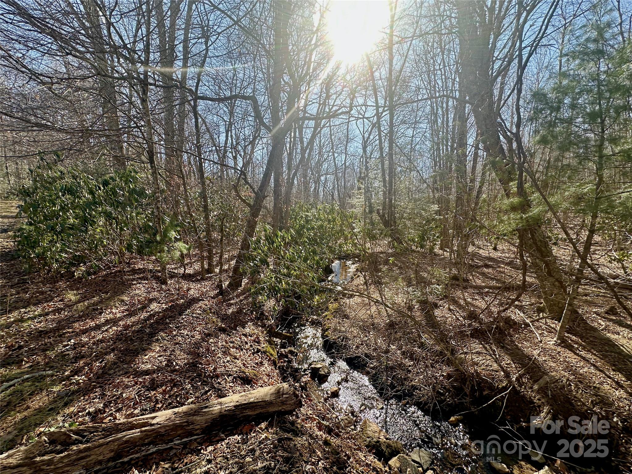 Tbd Snipe Hill Drive Newland NC 28657