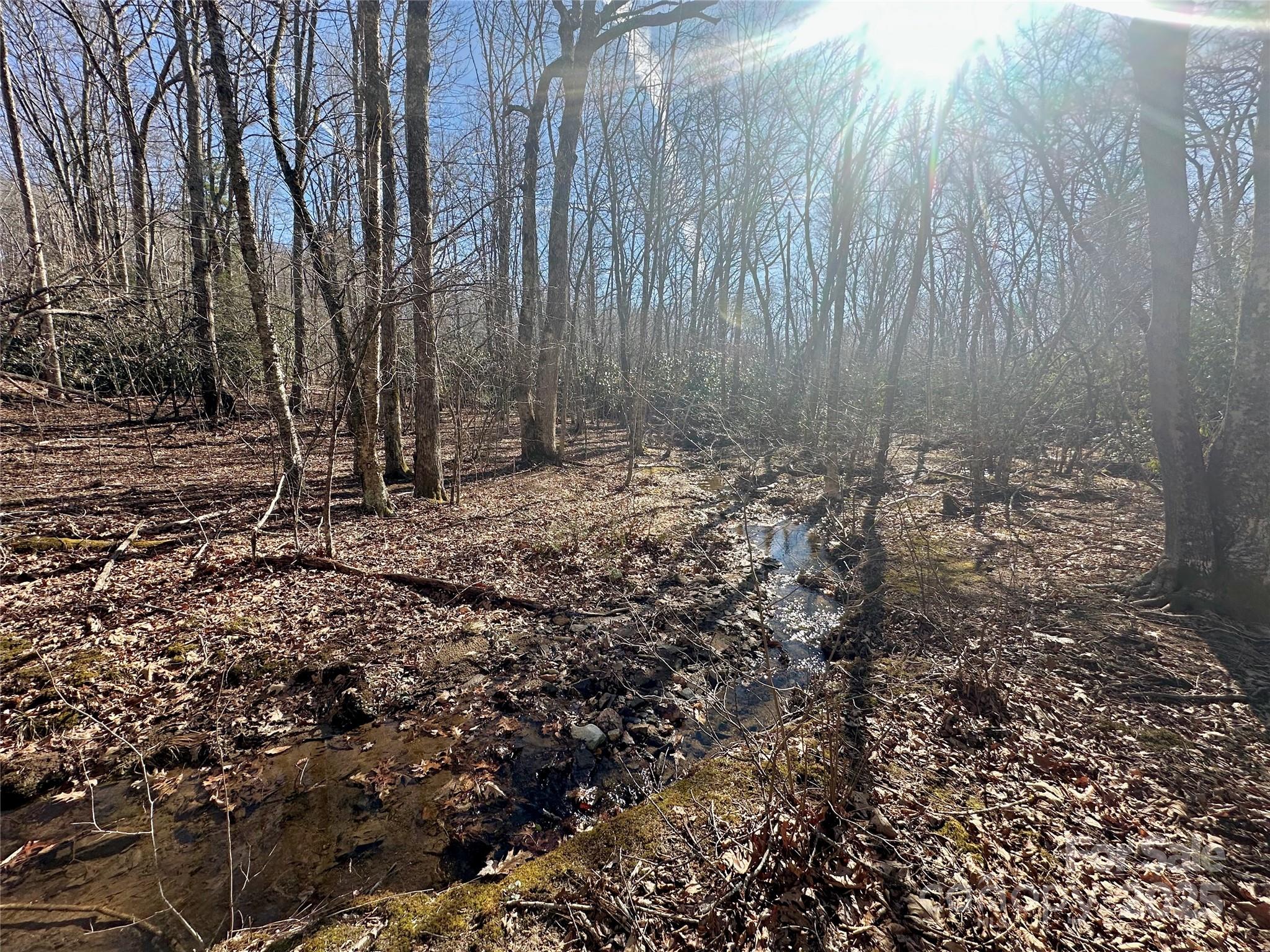 Tbd Snipe Hill Drive Newland NC 28657