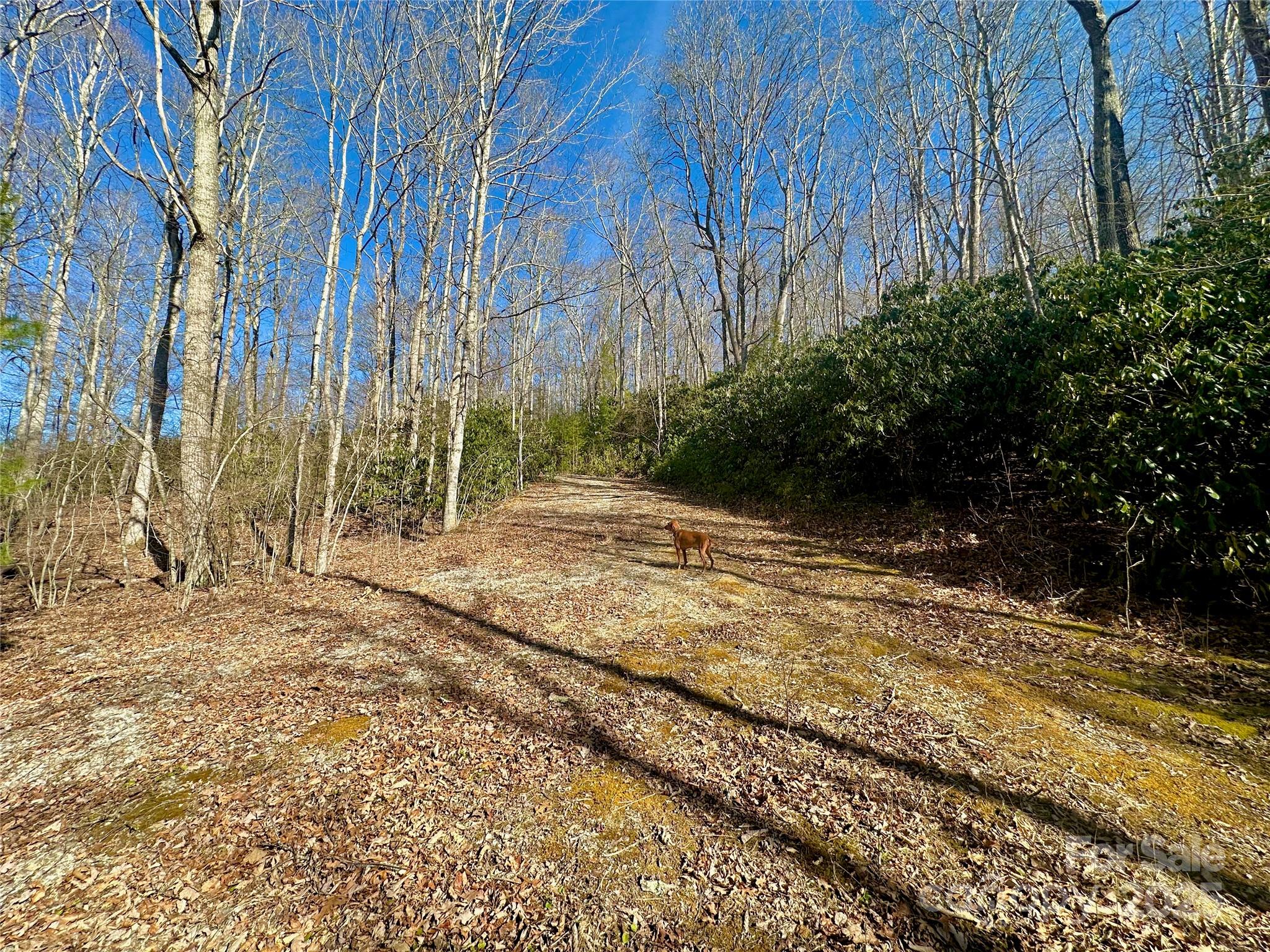 Tbd Snipe Hill Drive Newland NC 28657