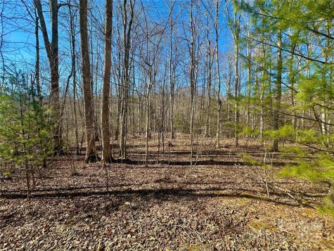 Tbd Snipe Hill Drive Newland NC 28657