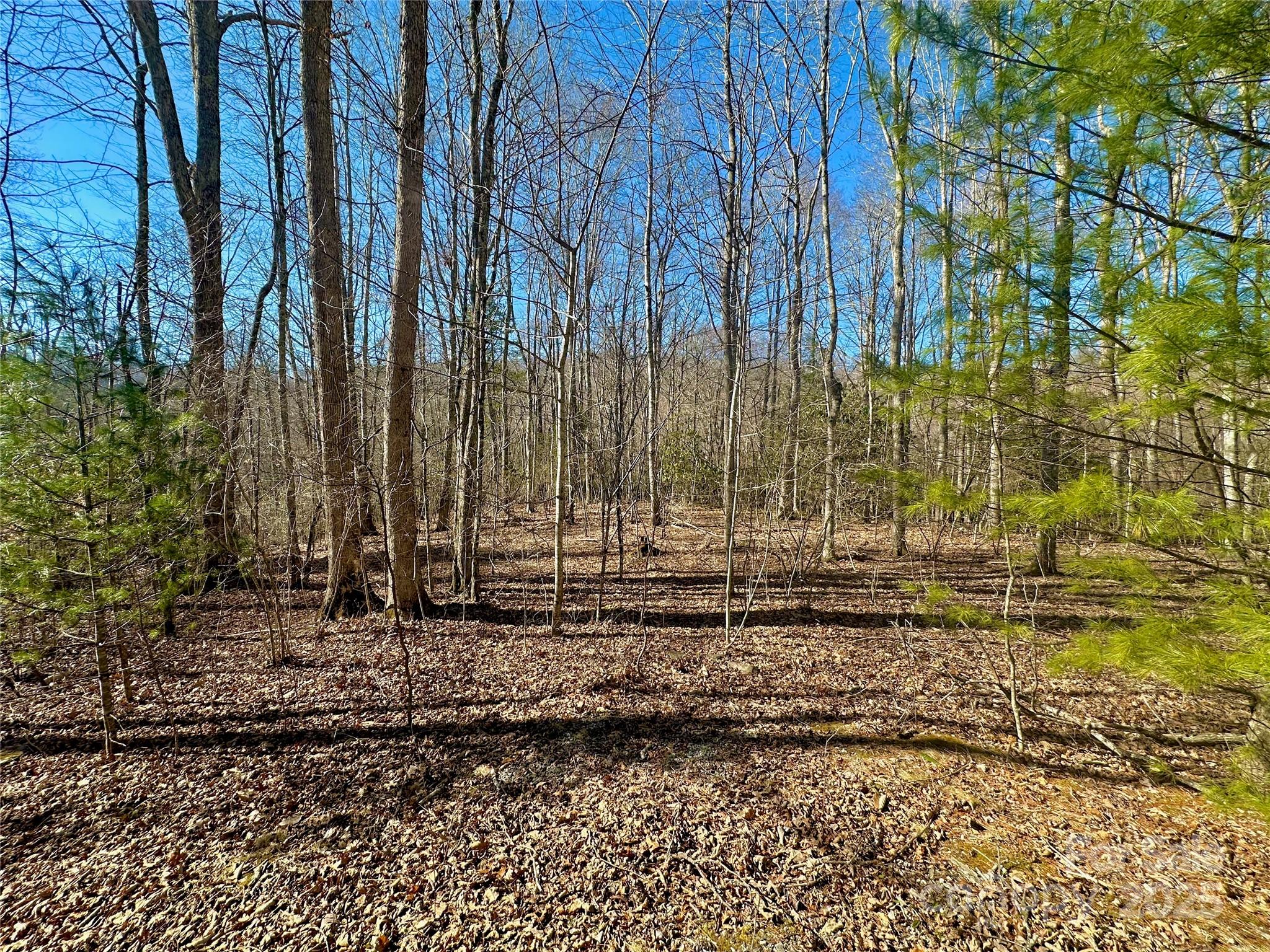 Tbd Snipe Hill Drive Newland NC 28657