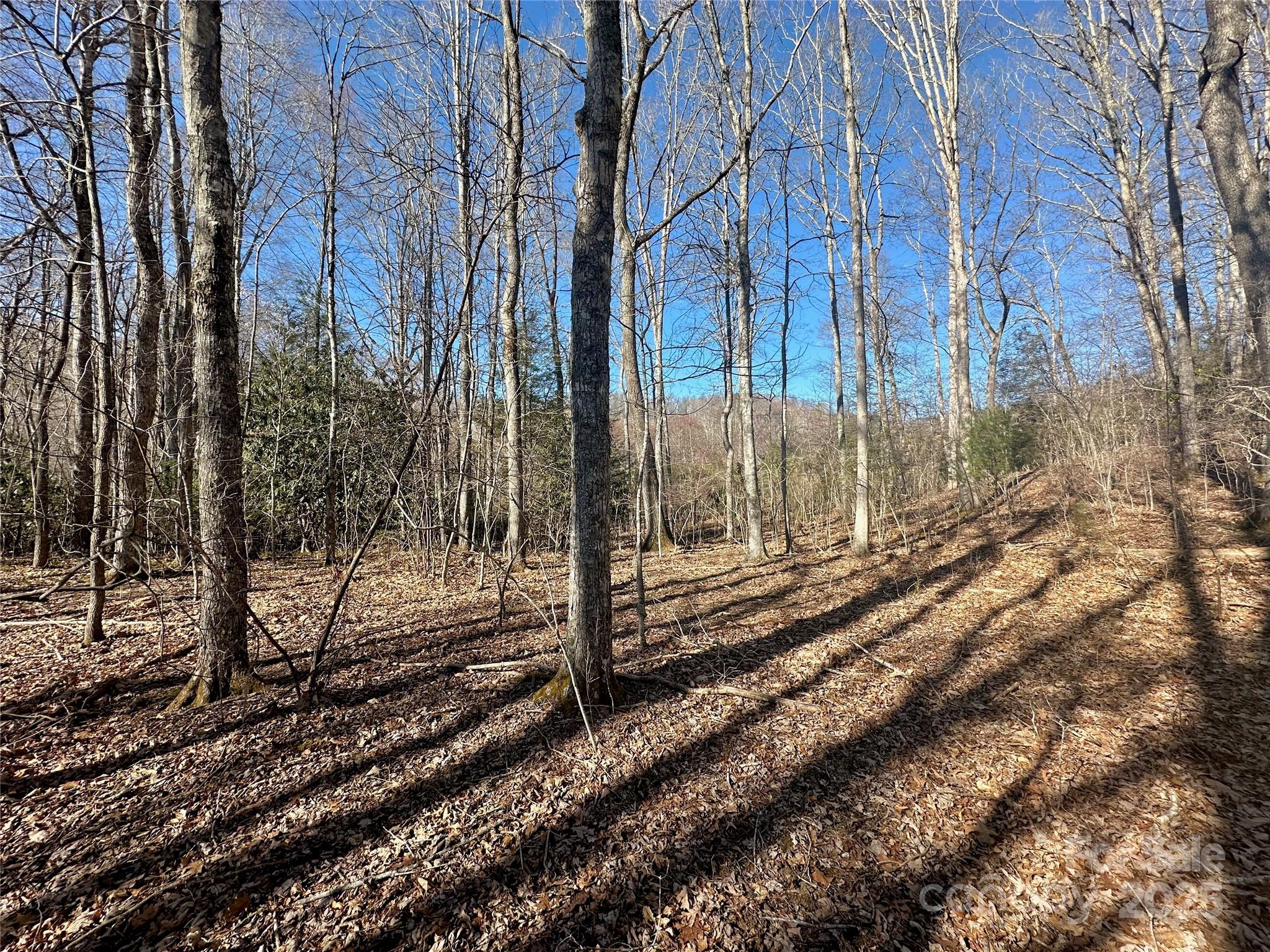 Tbd Snipe Hill Drive Newland NC 28657