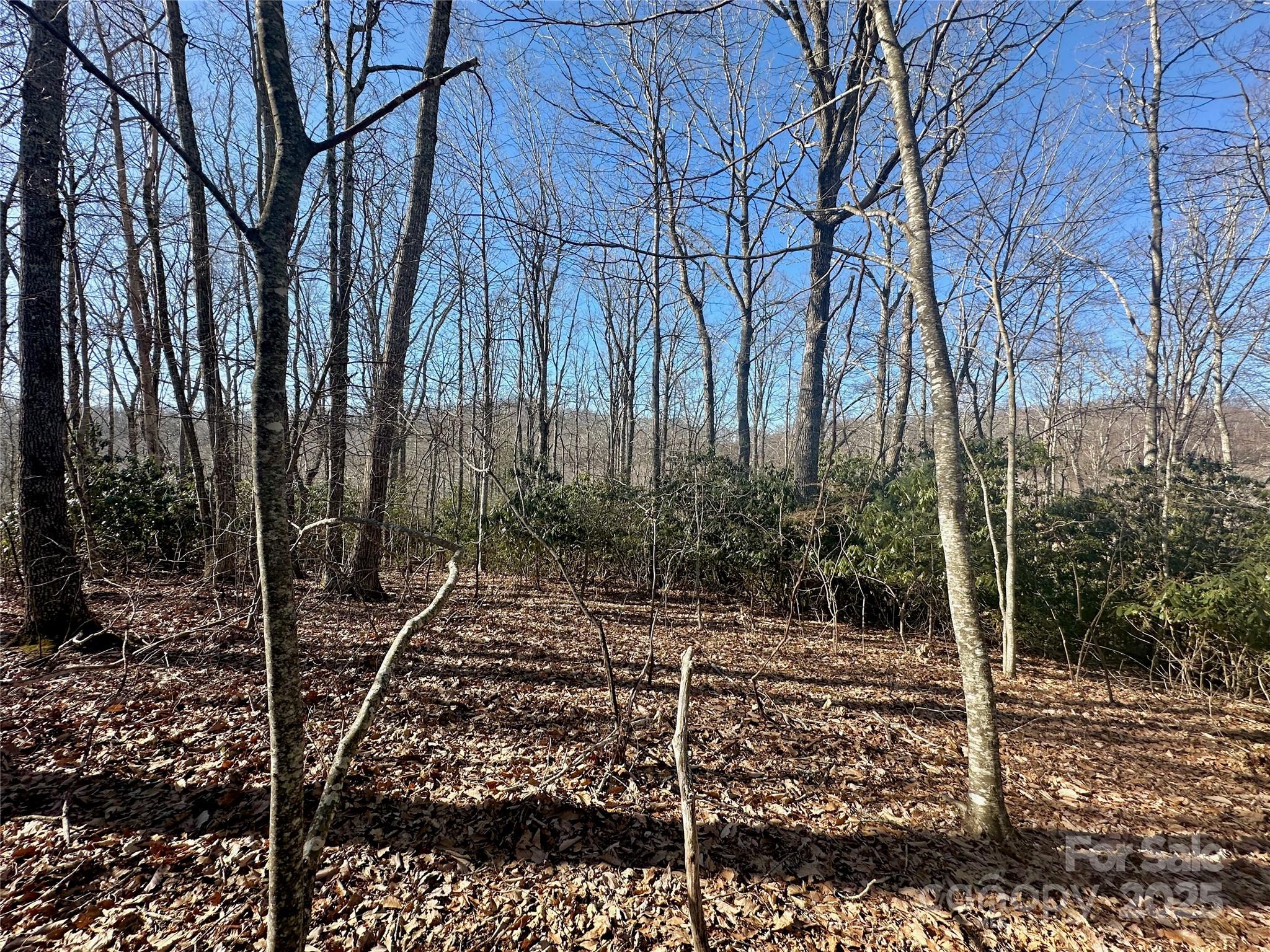 Tbd Snipe Hill Drive Newland NC 28657