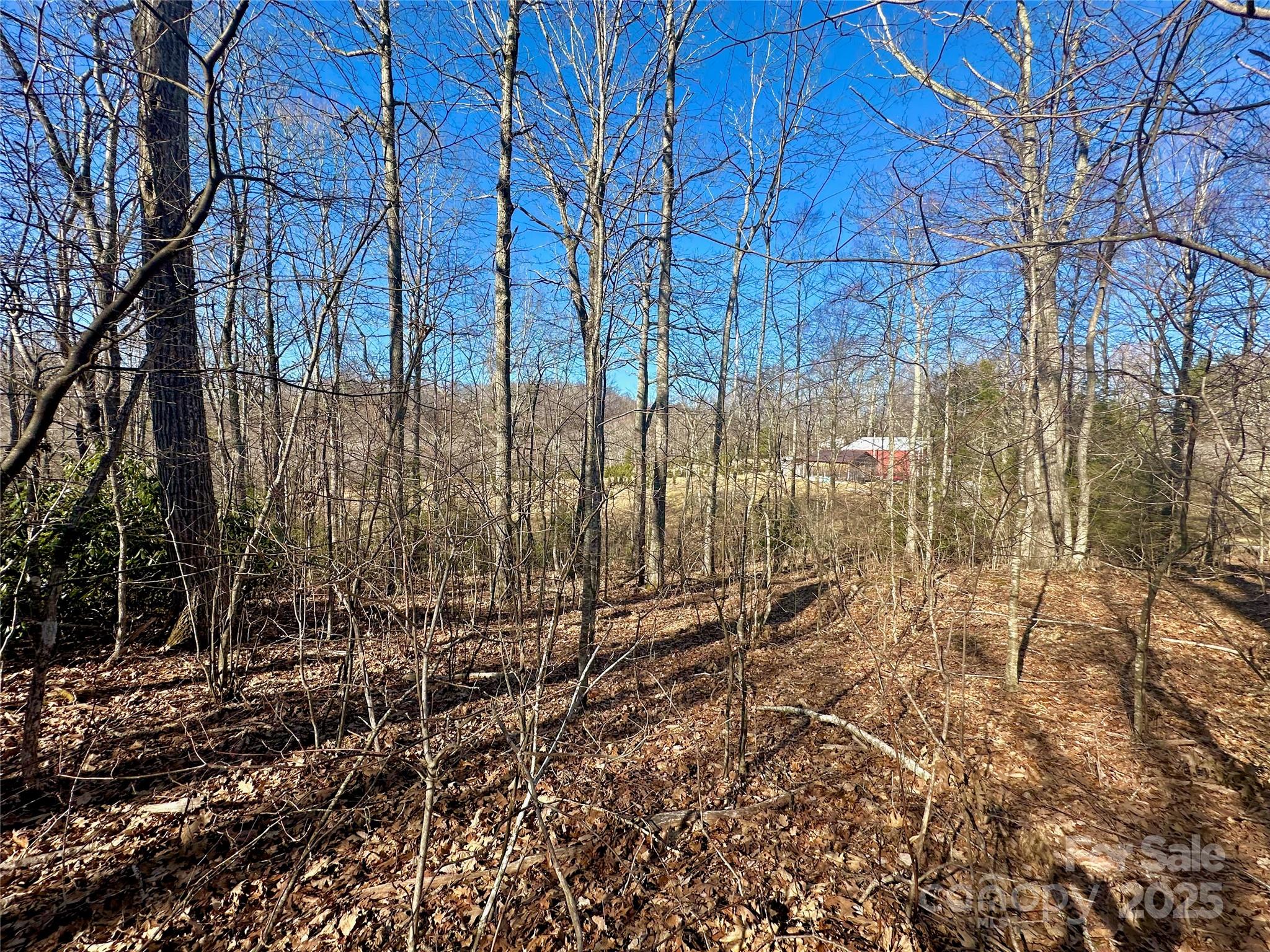 Tbd Snipe Hill Drive Newland NC 28657