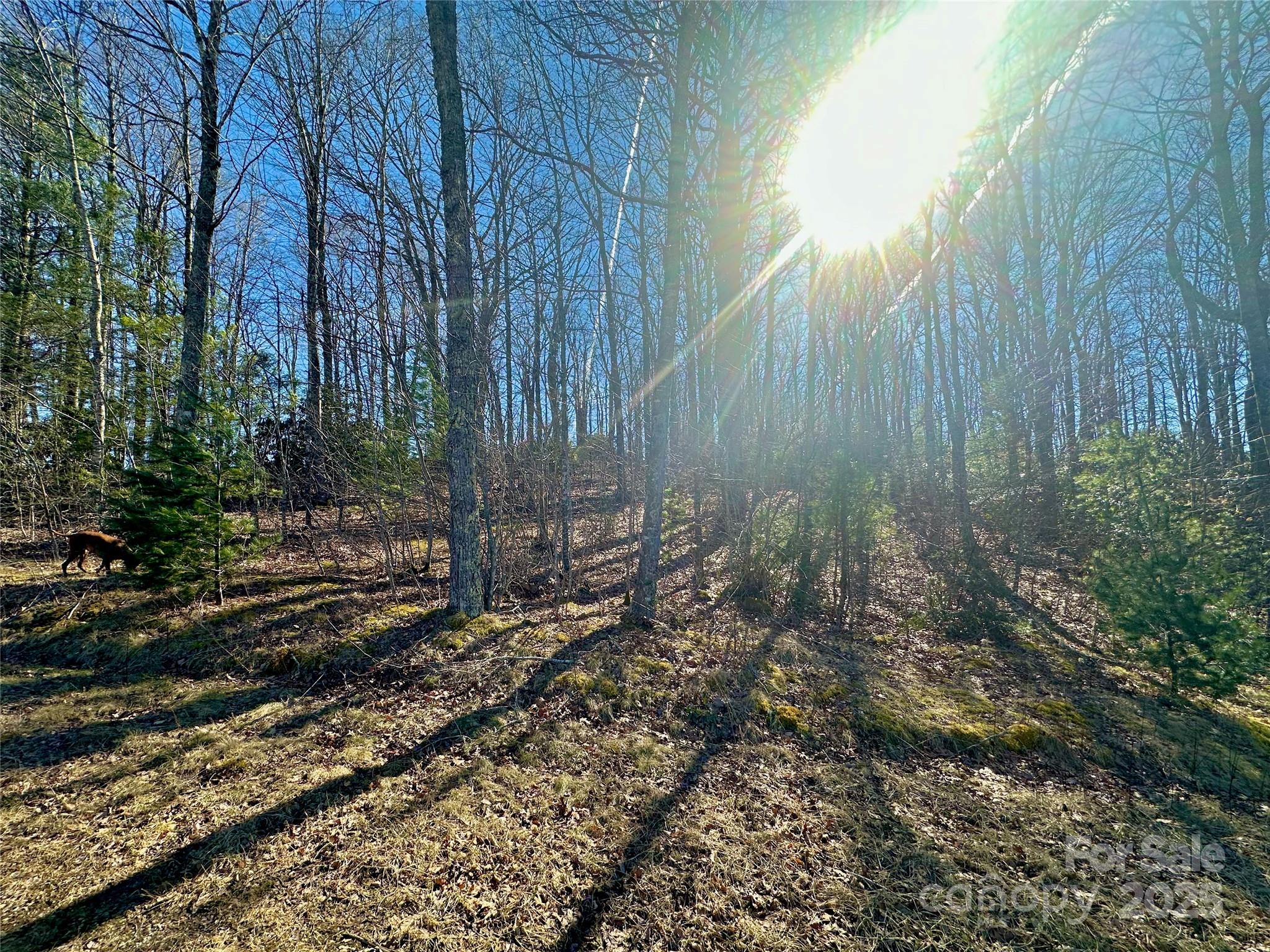 Tbd Snipe Hill Drive Newland NC 28657