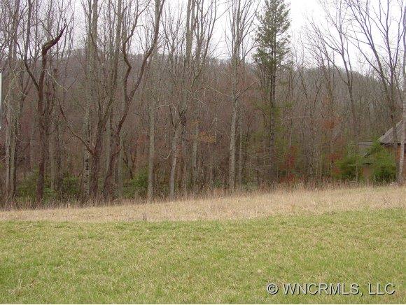 15 Mountain Orchid Way Arden NC 28704