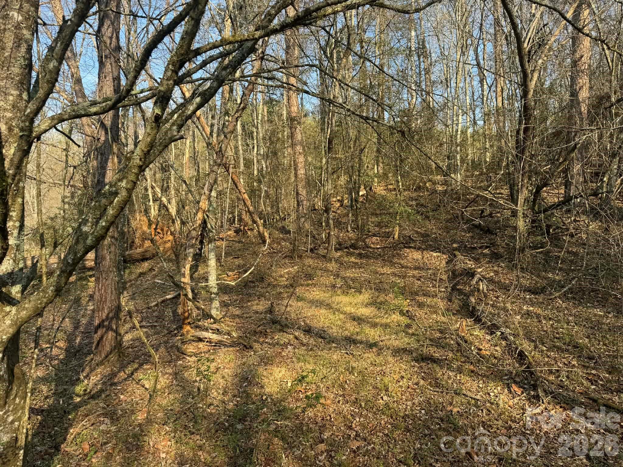 Tbd Billings Hill Church Road Traphill NC 28685