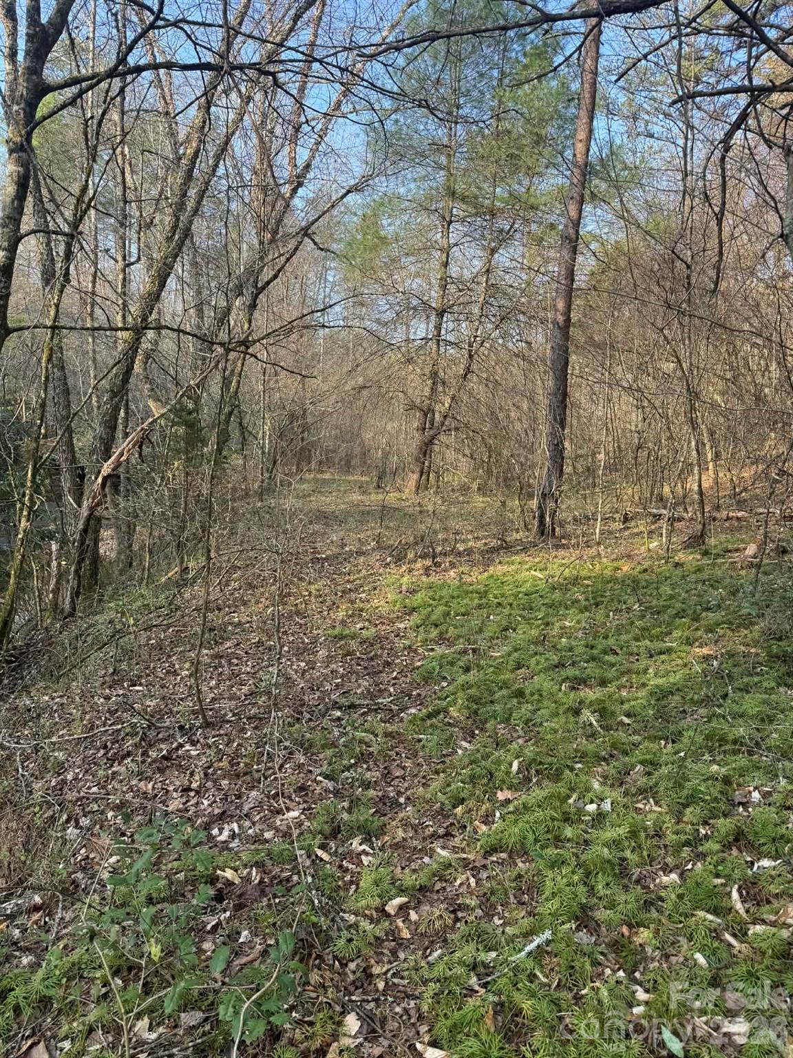 Tbd Billings Hill Church Road Traphill NC 28685