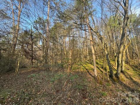 Tbd Billings Hill Church Road Traphill NC 28685