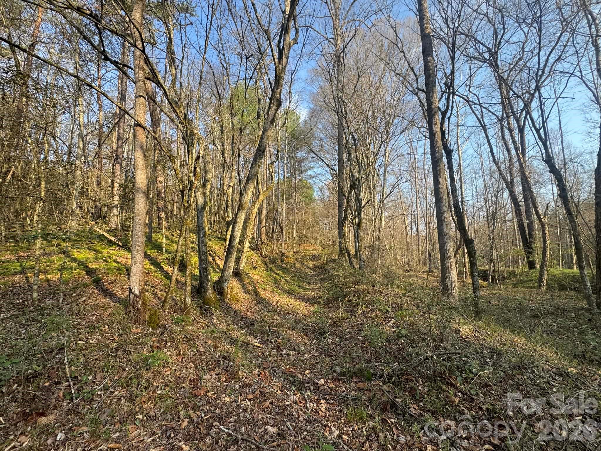 Tbd Billings Hill Church Road Traphill NC 28685