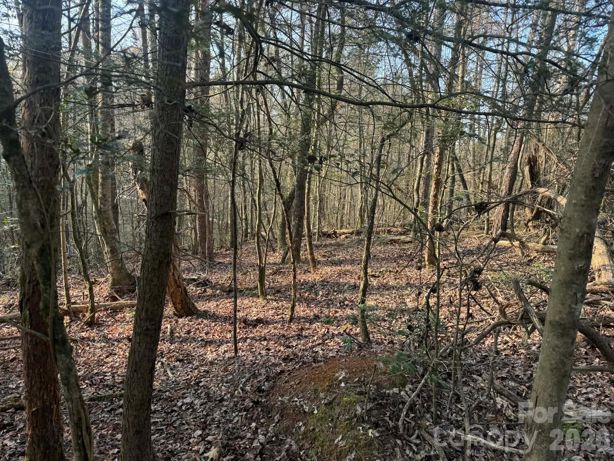 Tbd Billings Hill Church Road Traphill NC 28685