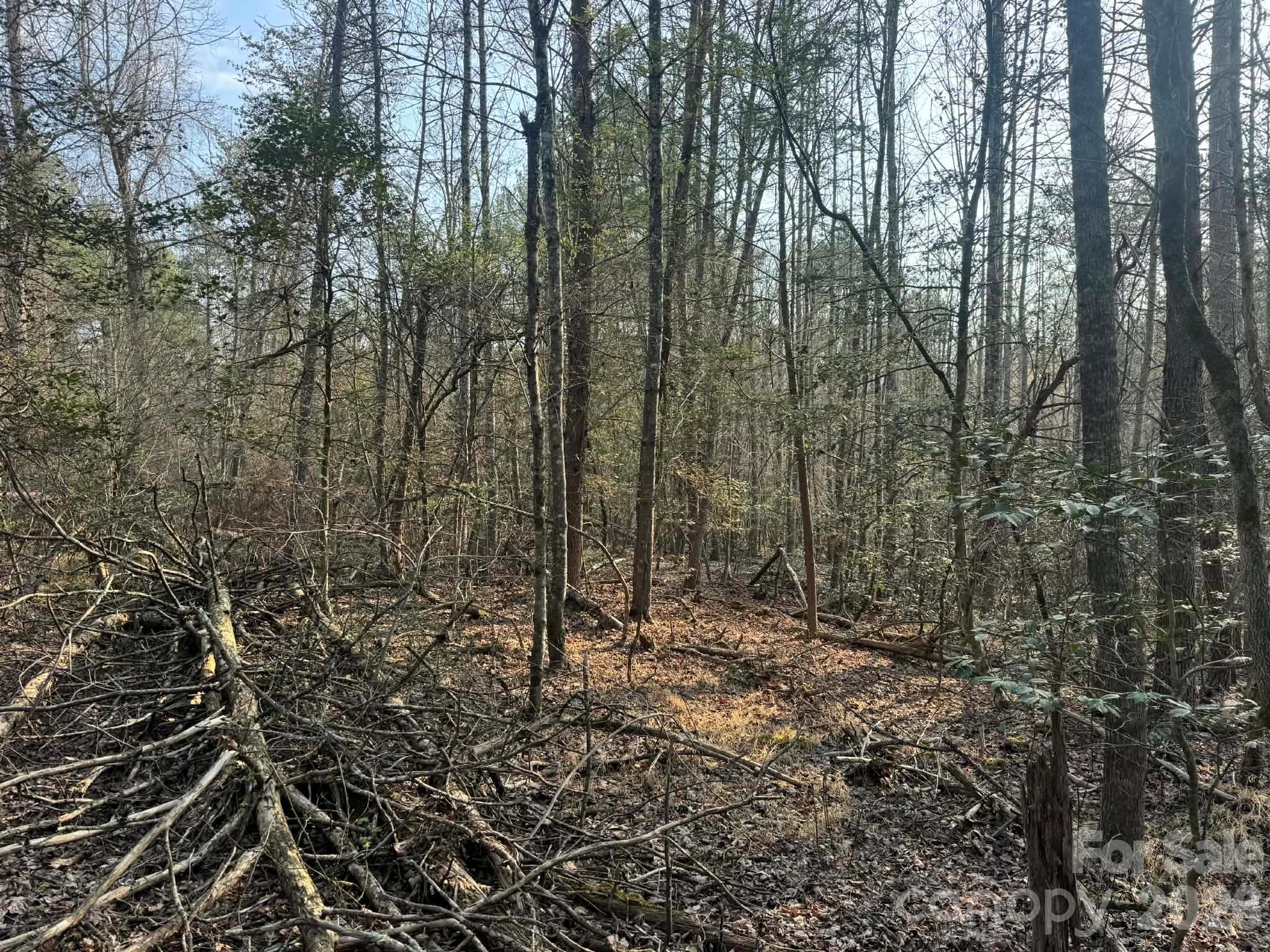 Tbd Billings Hill Church Road Traphill NC 28685