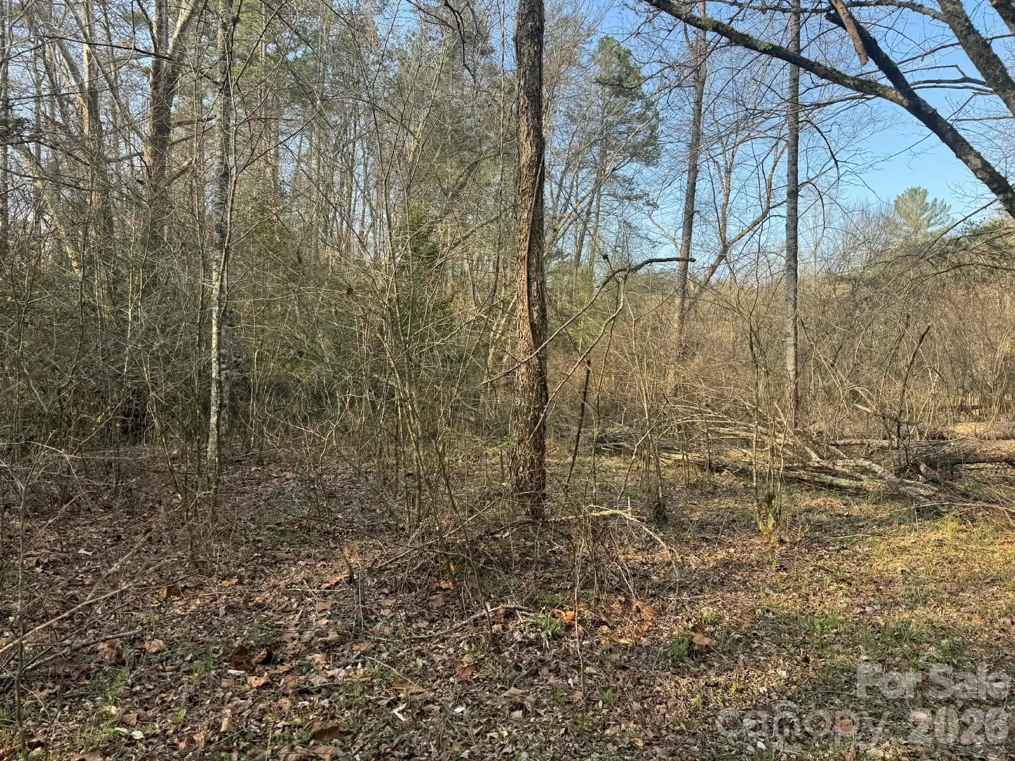 Tbd Billings Hill Church Road Traphill NC 28685